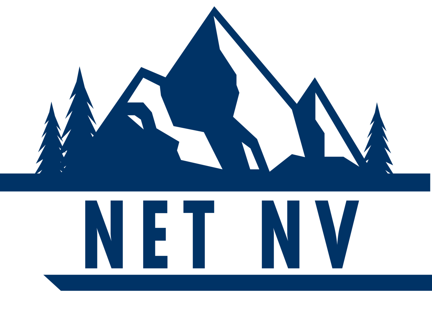 net nv logo
